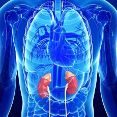 Cáncer de las glándulas suprarrenales
