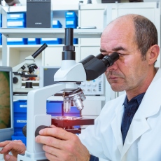 Biopsia