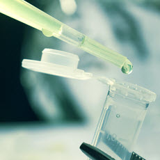 Inmunoterapia para el cáncer