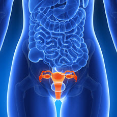 Trastornos del cuello uterino