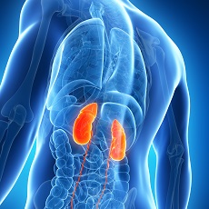 Enfermedad renal crónica