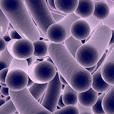 Infecciones por Clostridium difficile