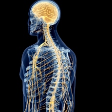 Ataxia de Friedreich