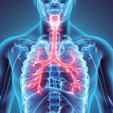 Granulomatosis con poliangeítis