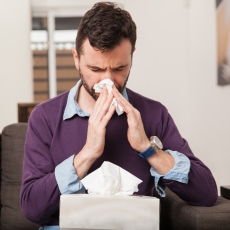 Gripe H1N1 (gripe porcina)