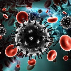 VIH, sida y las infecciones
