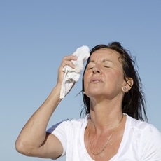 Enfermedades causadas por el calor