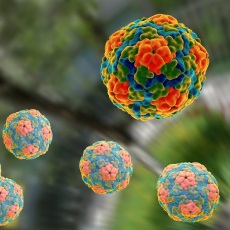 Hepatitis A