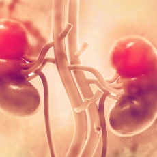 Cáncer de riñón