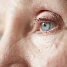 Degeneración macular