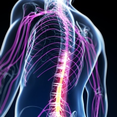 Enfermedades neuromusculares