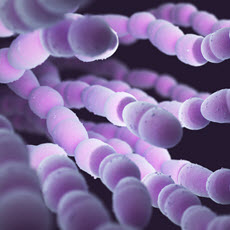 Infecciones por neumococo