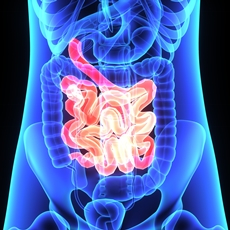 Enfermedades del intestino delgado