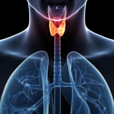 Cáncer de tiroides