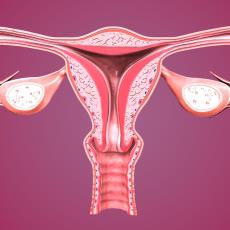 Sangrado vaginal