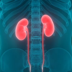 Tumor de Wilms