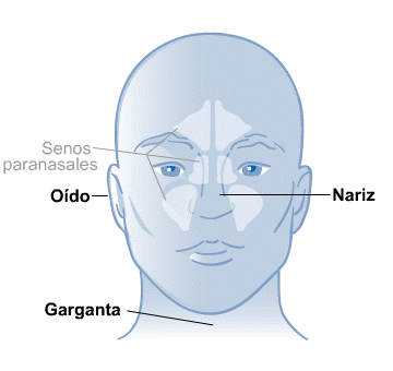 Body Map for Oído, nariz y garganta