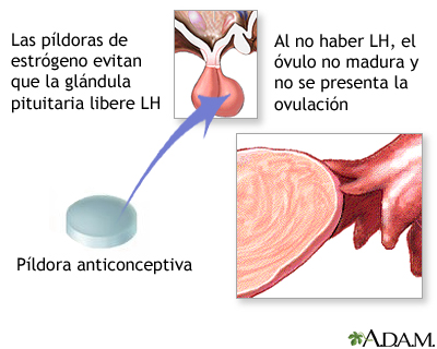 Píldoras anticonceptivas Píldoras anticonceptivas
