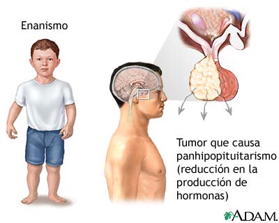Resultados Resultados