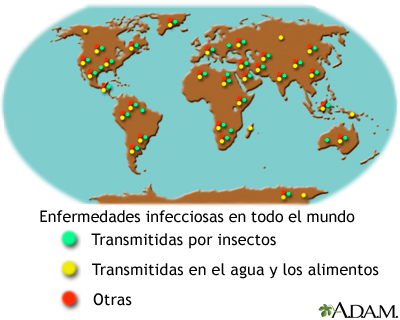 Enfermedades infecciosas y viajeros Enfermedades infecciosas y viajeros