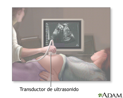 Ecografía prenatal - serie - Procedimiento (primera parte) Ecografía prenatal - serie - Procedimiento (primera parte)