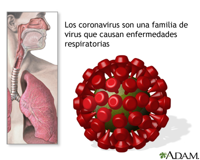Coronavirus Coronavirus