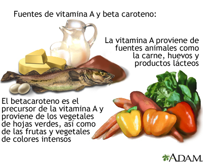 Fuentes de vitamina A Fuentes de vitamina A