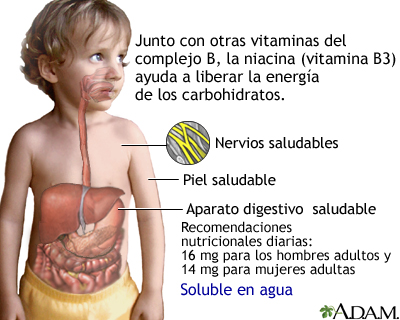 Beneficios de la vitamina B3 Beneficios de la vitamina B3