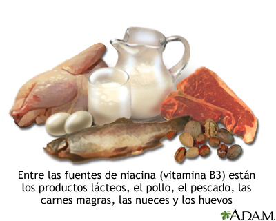 Fuentes de vitamina B3 Fuentes de vitamina B3