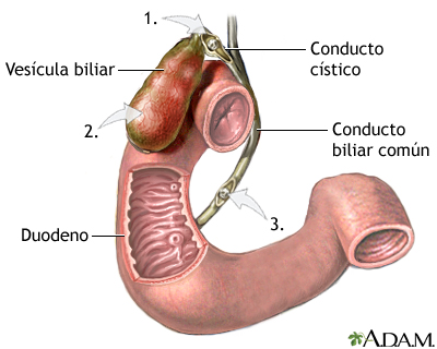 Indicaciones Indicaciones