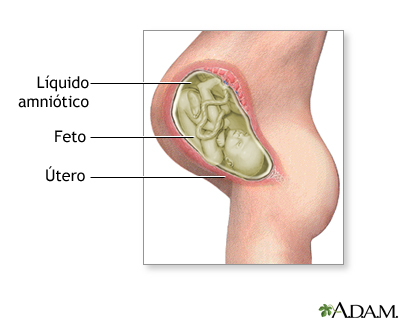 Líquido amniótico Líquido amniótico