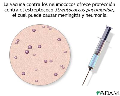 Vacuna antineumocócica Vacuna antineumocócica