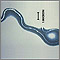 Enfermedad de Lyme - organismo Borrelia burgdorferi