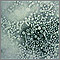 Virus de hepatitis B