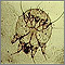 Microfotografía del ácaro de la escabiosis