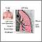 Anatomía de los pulmones