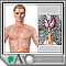 Sistema endocrino Sistema endocrino