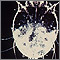Microfotografía del ácaro de la escabiosis