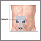 Ultrasonido abdominal