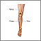 Anatomía esquelética de la pierna