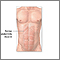 Músculos abdominales