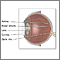 Anatomía interna del ojo