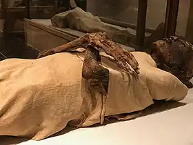 Égypte,_Le_Caire,_Musée_des_Antiquités_Égyptiennes,_Momie_de_Ramsès_IV_(49593651862)