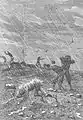 Ejemplo para la obra: Aventuras de tres rusos y tres ingleses en el África austral (Verne)