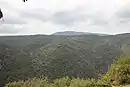 Sobrepuerto