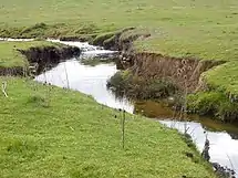 Arroyo característico.