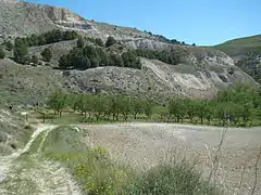 Al fondo del camino que se ve a la izquierda comienza el sendero a pie, junto a las viñas plantadas.
