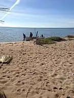 Los seris llevan a los visitantes a isla Tiburón