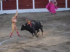 Peletero