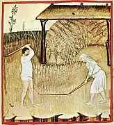 Campesinos separando el grano de la paja con trillos manuales. Ilustración del siglo XIV (Tacuinum sanitatis).